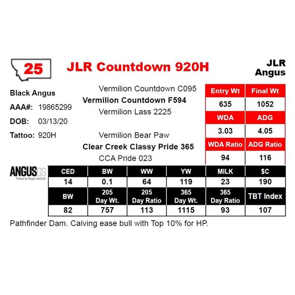 JLR Countdown 920H
