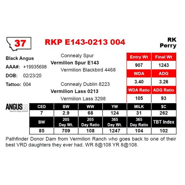 RKP E143-0213 004
