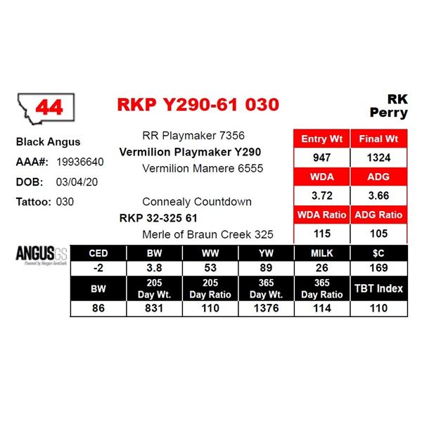 RKP Y290-61 030