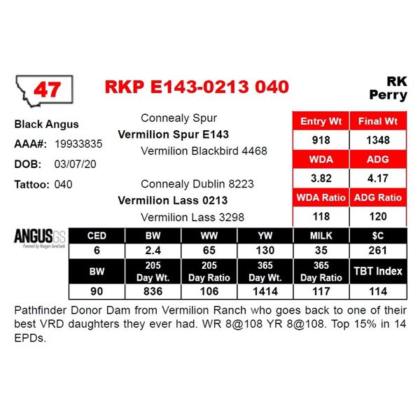 RKP E143-0213 040