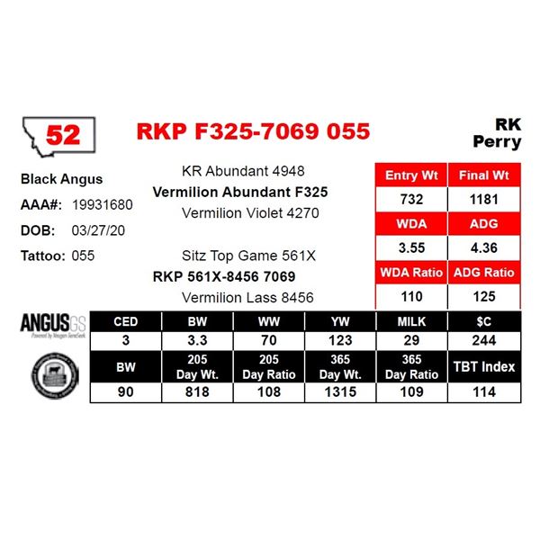 RKP F325-7069 055