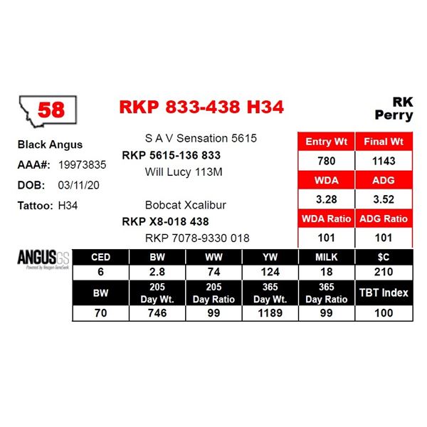 RKP 833-438 H34