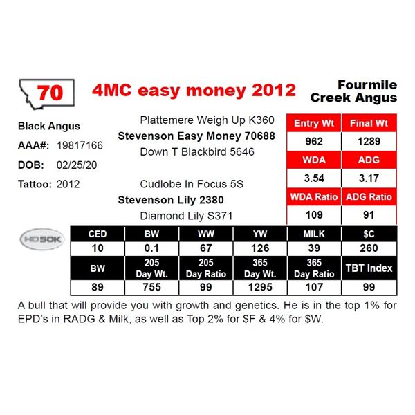 4MC easy money 2012