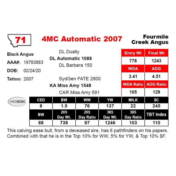 4MC Automatic 2007