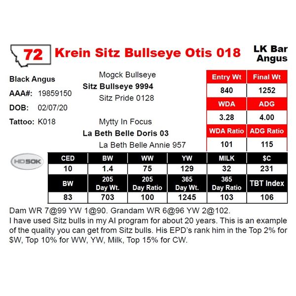 Krein Sitz Bullseye Otis 018