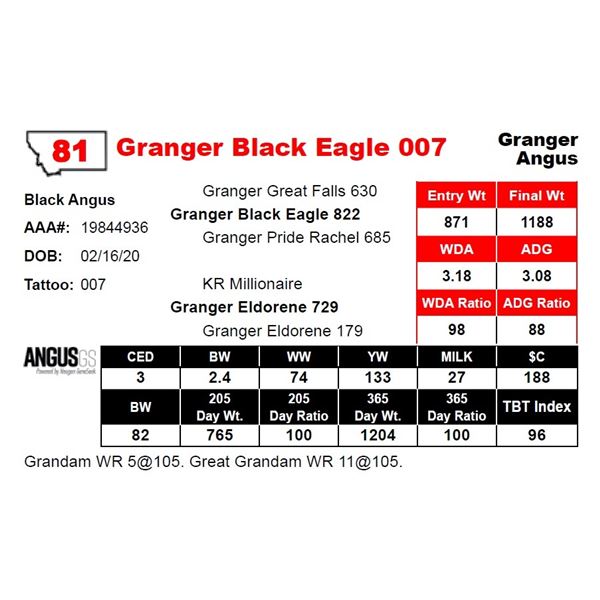 Granger Black Eagle 007