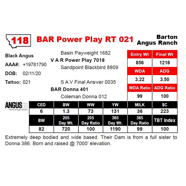 BAR Power Play RT 021