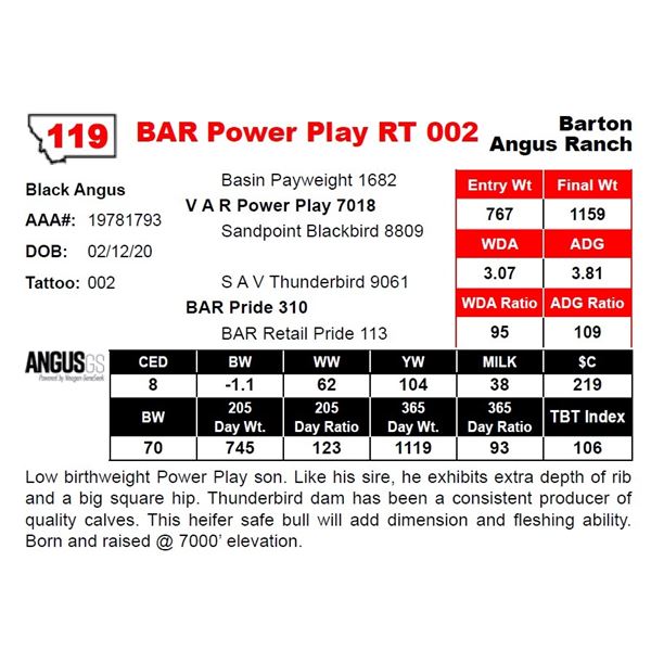 OUT OF SALE - BAR Power Play RT 002