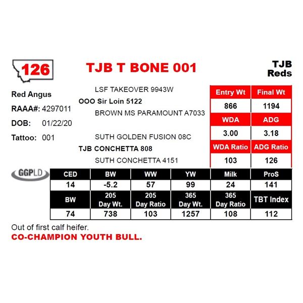 TJB T BONE 001