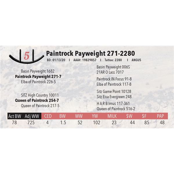 Paintrock Payweight 271-2280