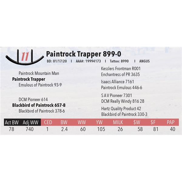 Paintrock Trapper 899-0