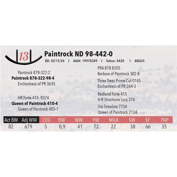 Paintrock ND 98-442-0