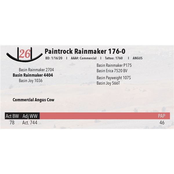 Paintrock Rainmaker 176-0