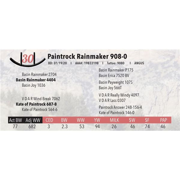 Paintrock Rainmaker 908-0