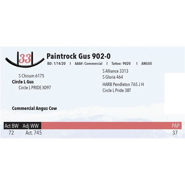 Paintrock Gus 902-0