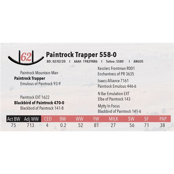 Paintrock Trapper 558-0