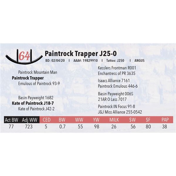 Paintrock Trapper J25-0