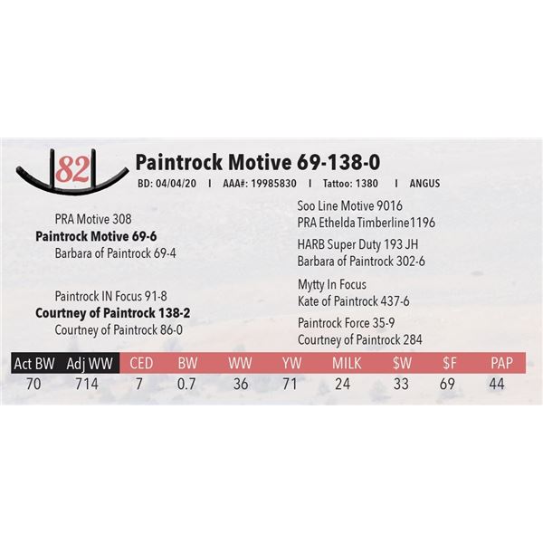 Paintrock Motive 69-138-0
