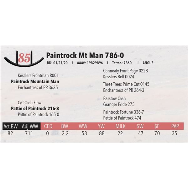 Paintrock Mt Man 786-0