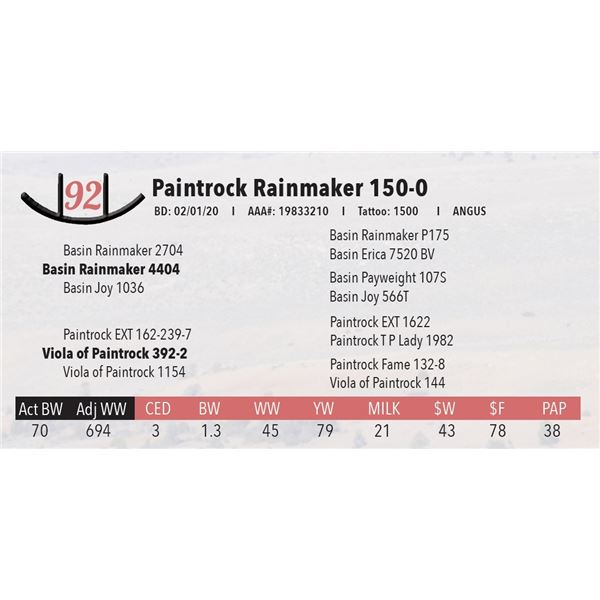 Paintrock Rainmaker 150-0