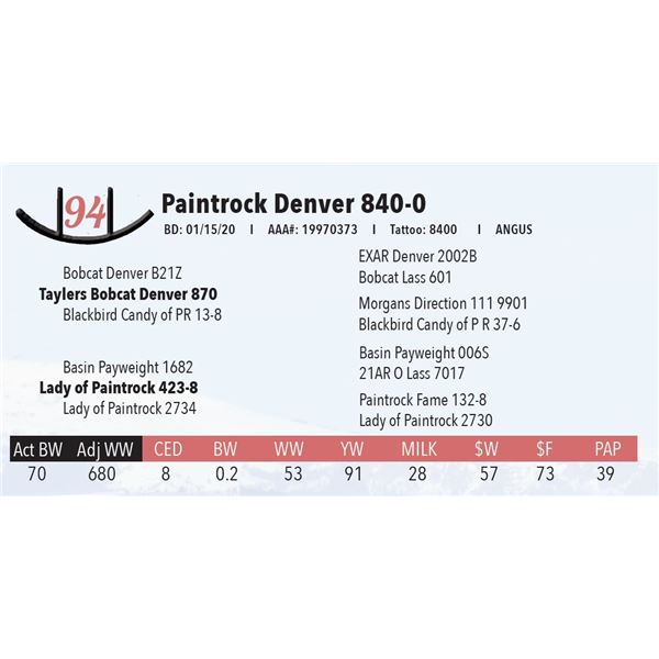 Paintrock Denver 840-0