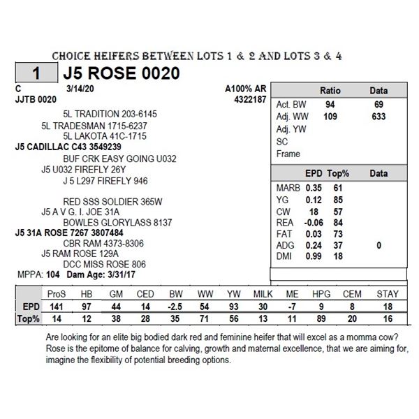 J5 ROSE 0020