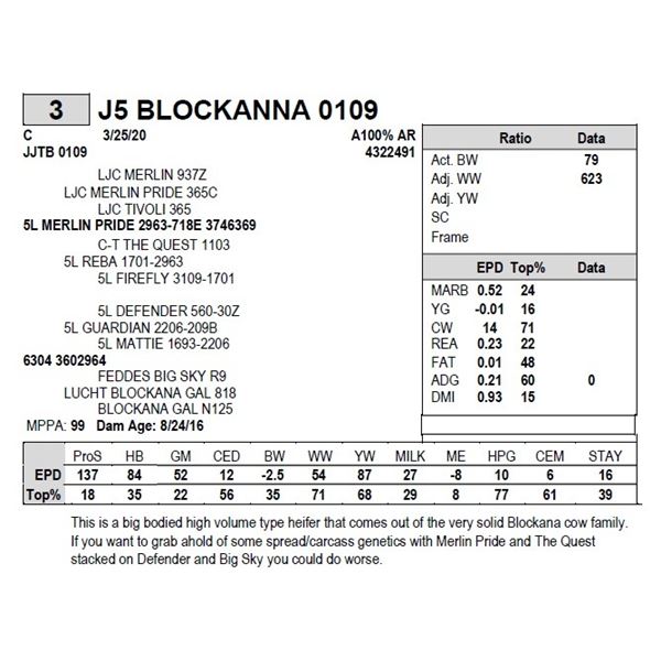 J5 BLOCKANNA 0109