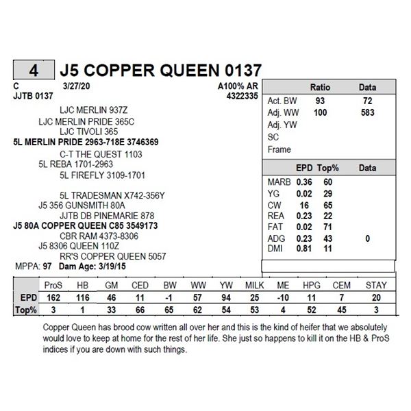 J5 COPPER QUEEN 0137