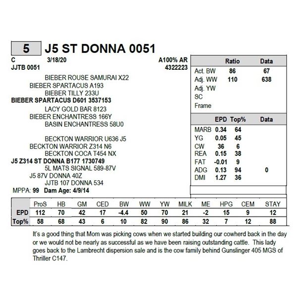 J5 ST DONNA 0051