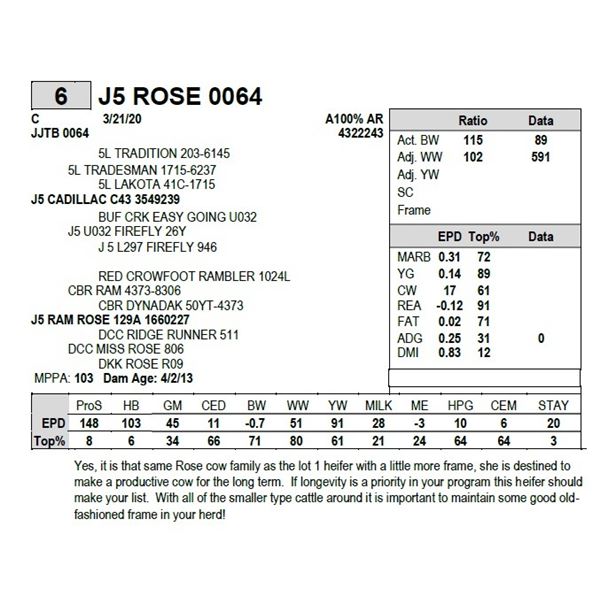 J5 ROSE 0064