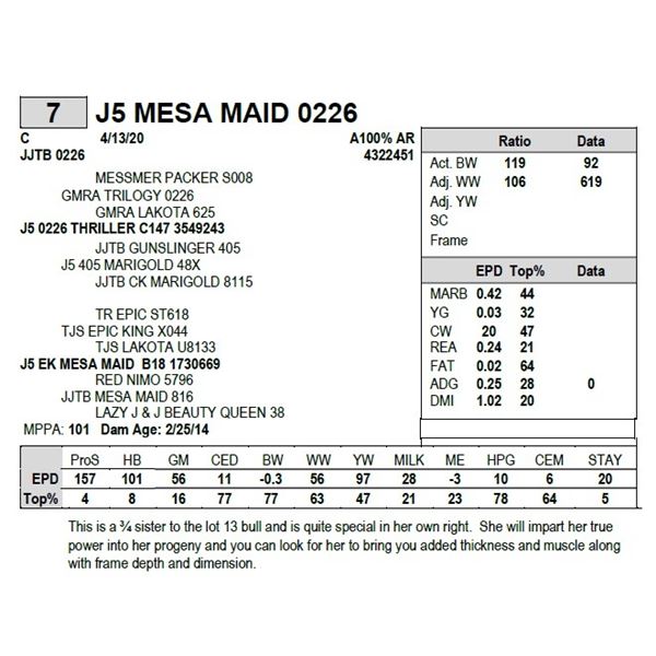 J5 MESA MAID 0226