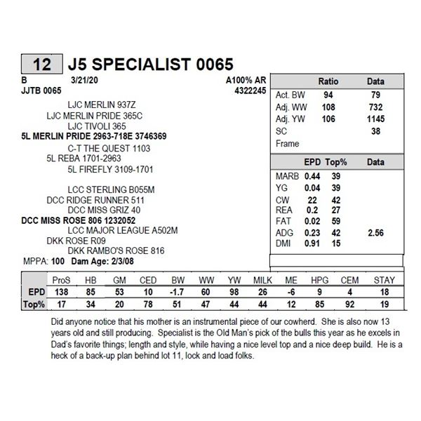 J5 SPECIALIST 0065