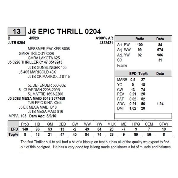 J5 EPIC THRILL 0204