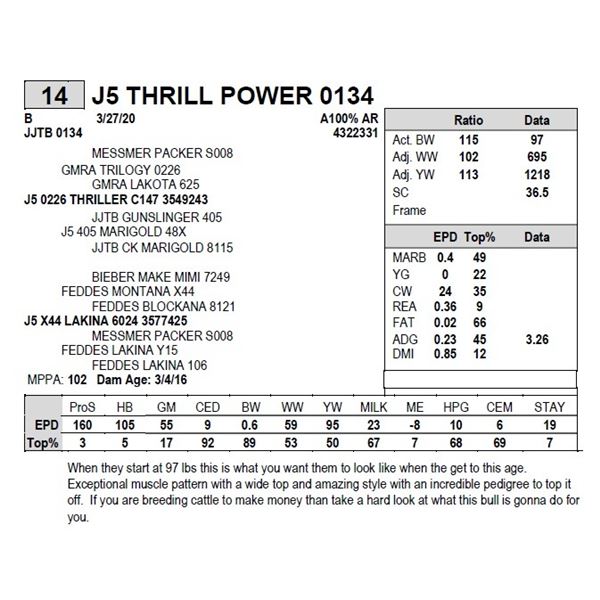 J5 THRILL POWER 0134