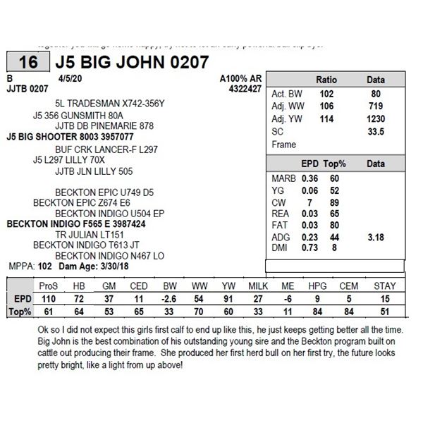 J5 BIG JOHN 0207