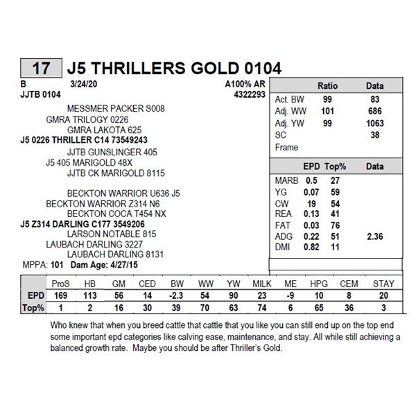 J5 THRILLERS GOLD 0104