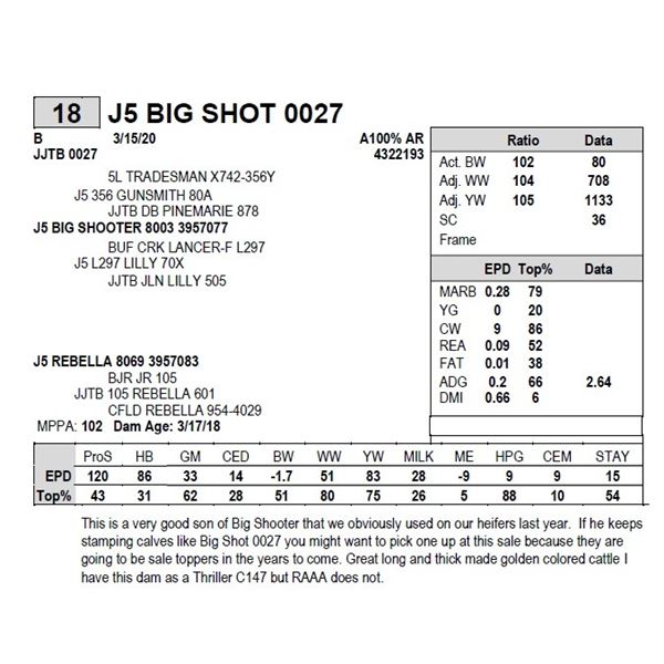 J5 BIG SHOT 0027