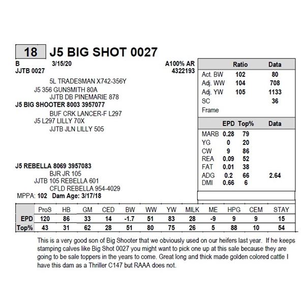 J5 BIG SHOT 0027