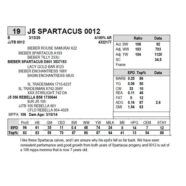 J5 SPARTACUS 0012