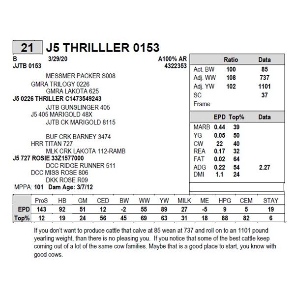 J5 THRILLLER 0153