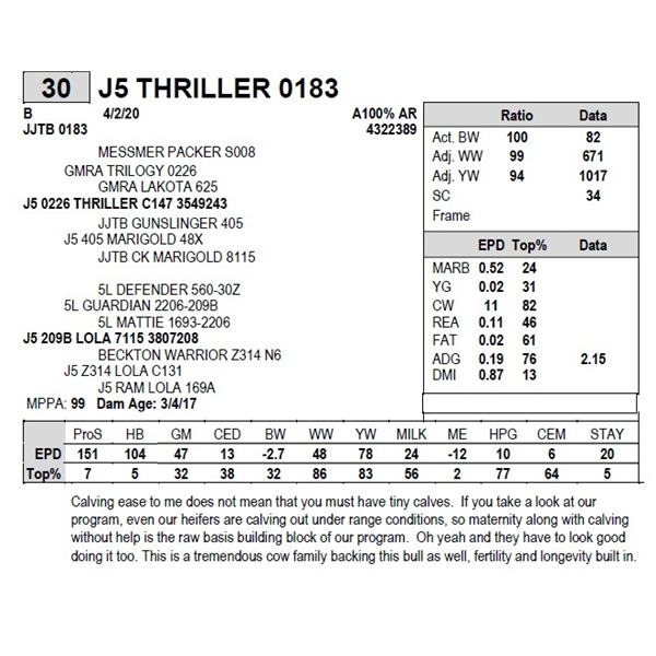 J5 THRILLER 0183