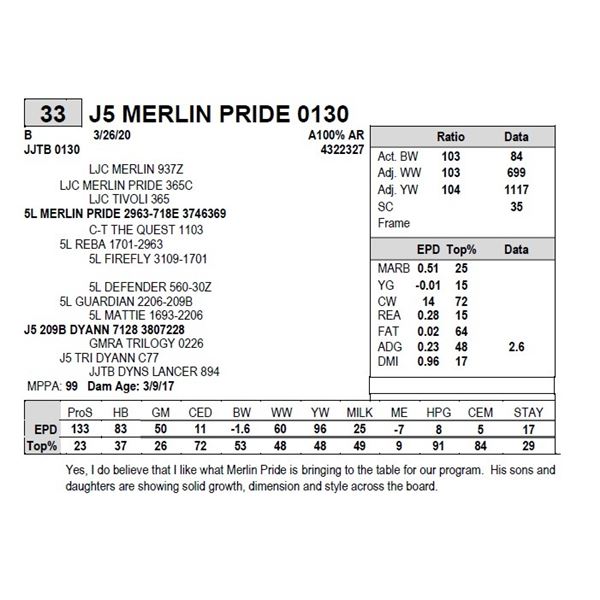 J5 MERLIN PRIDE 0130