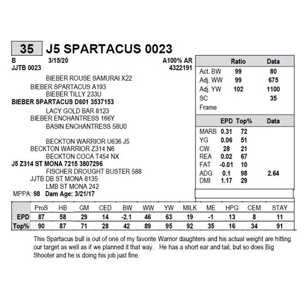 J5 SPARTACUS 0023