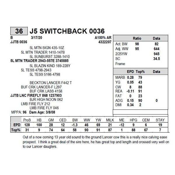 J5 SWITCHBACK 0036