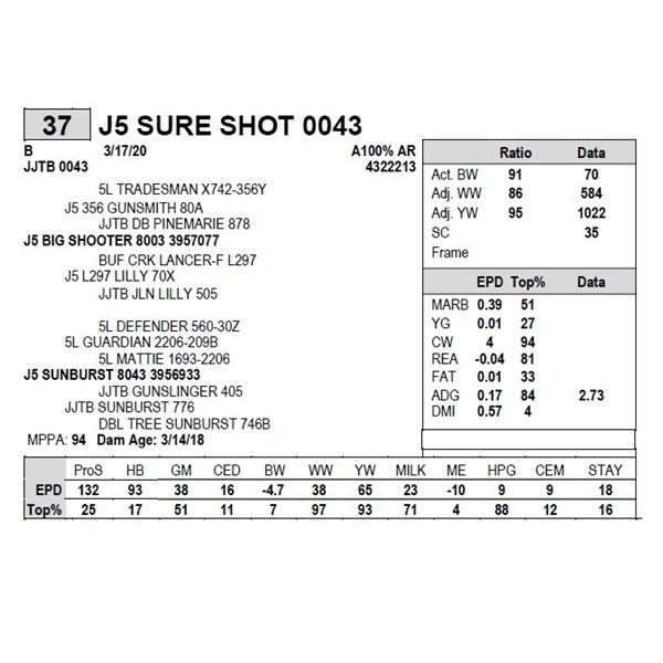 J5 SURE SHOT 0043