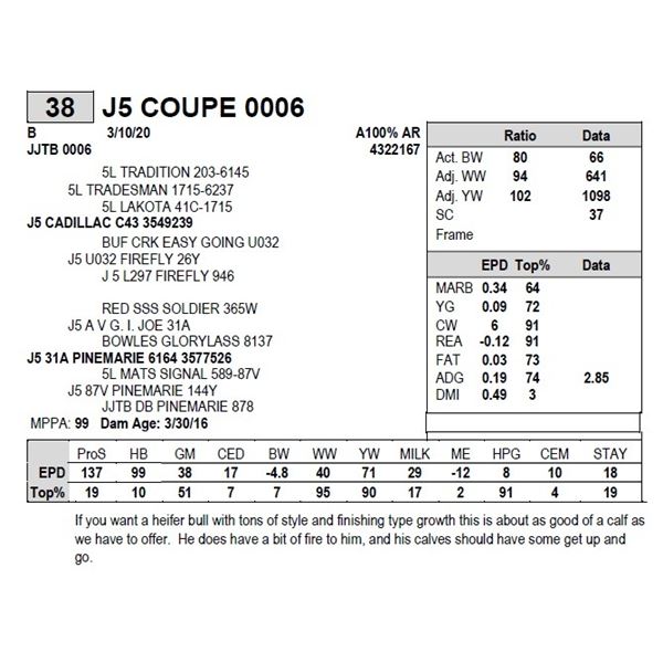 J5 COUPE 0006