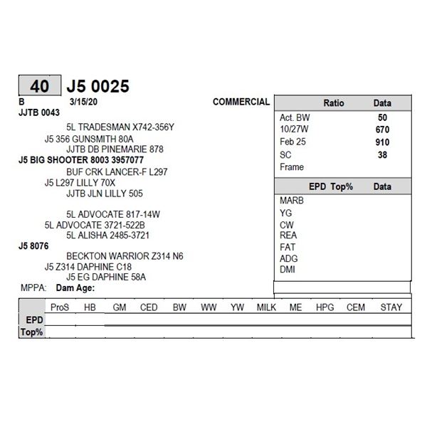 J5 0025