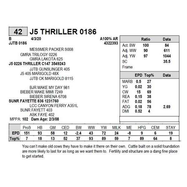 J5 THRILLER 0186