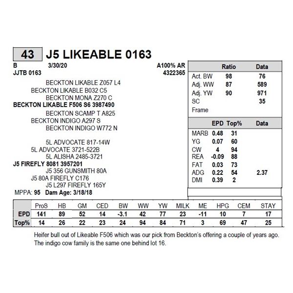 J5 LIKEABLE 0163