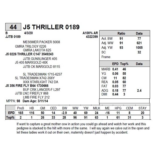 J5 THRILLER 0189